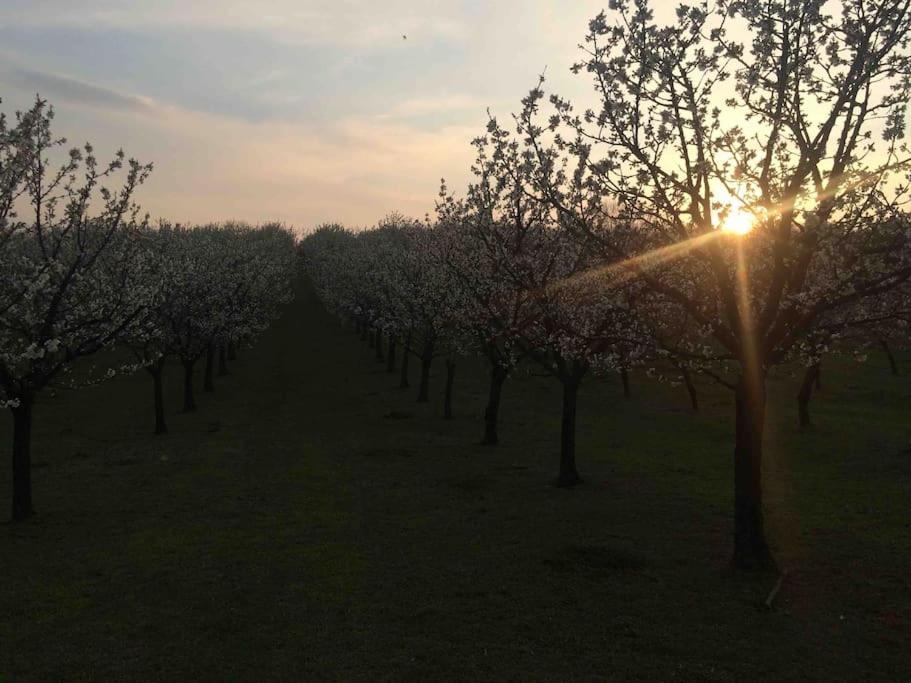 Villa Krasny Srub Na Jihu Brna Zelesice Esterno foto